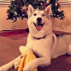 Meet your Posher, Kylee